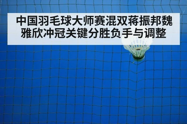 badminton net shot