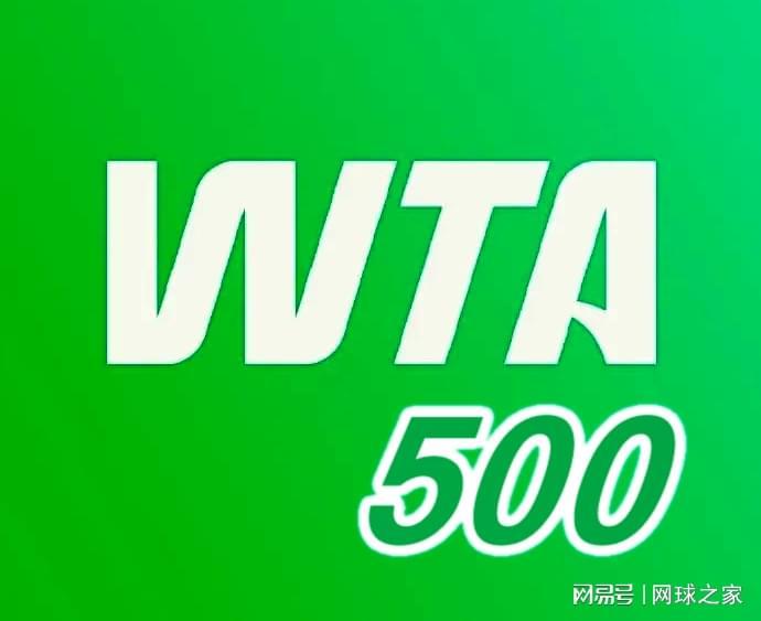 开云-爱游戏-王欣瑜陷入险境，小商布疯险胜，四蛋赢球盼战阿卡，德雷珀晋级